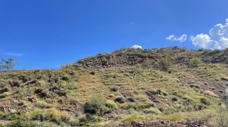 Malaga - Málaga - 16547m2