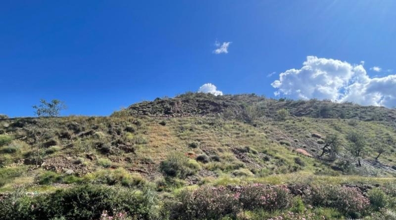 Malaga - Málaga - 16547m2