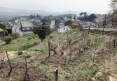 Городская земля под застройку на продажу у города Lliçà de Vall Фото