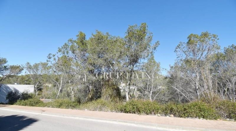 Barcelona - Sant Pere de Ribes - 489m2