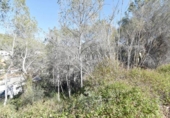 Urban land for sale on España, Sant Pere de Ribes, ref: TR128554 photo