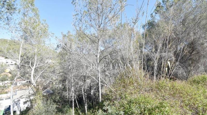 Barcelona - Sant Pere de Ribes - 489m2