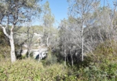 Urban land for sale on España, Sant Pere de Ribes, ref: TR128554 photo