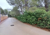 Terreno no urbanizable en venta en la España, Tarragona, ref: TR128623 foto