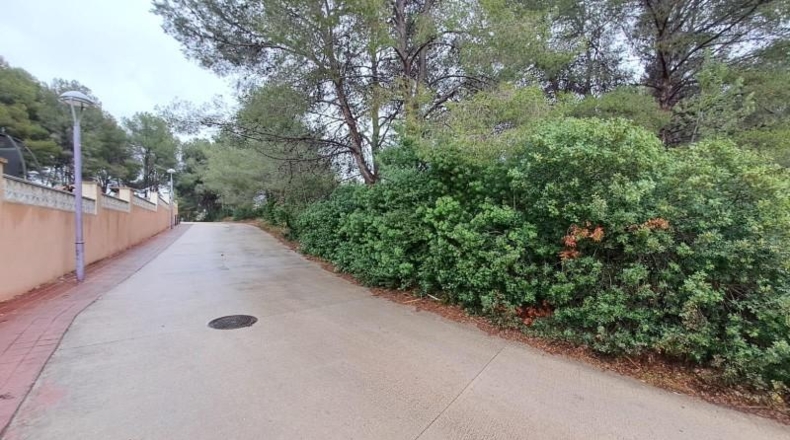 Tarragona - Tarragona - 41800m2