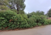Terreno no urbanizable en venta en la España, Tarragona, ref: TR128623 foto