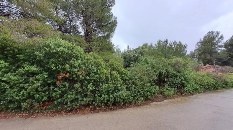 Tarragona - Tarragona - 41800m2