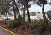 Terreno no urbanizable en venta en la España, Tarragona, ref: TR128623 foto