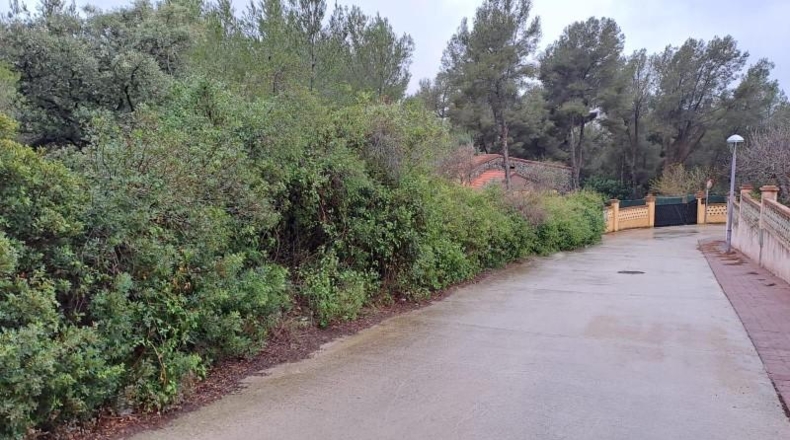 Tarragona - Tarragona - 41800m2