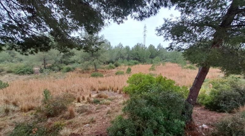Tarragona - Tarragona - 41800m2