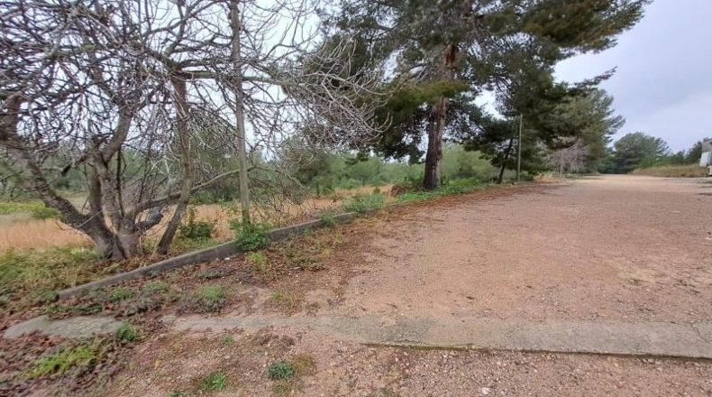 Tarragona - Tarragona - 41800m2