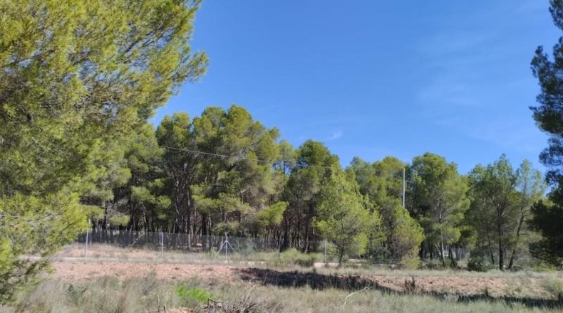 Múrcia - Totana - 5982m2