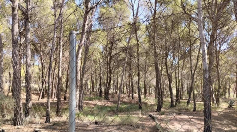 Múrcia - Totana - 5982m2