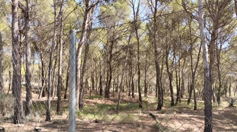 Múrcia - Totana - 5982m2