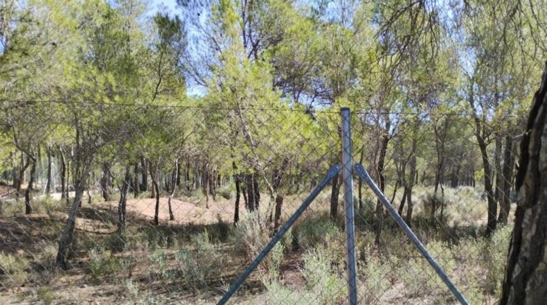Múrcia - Totana - 5982m2