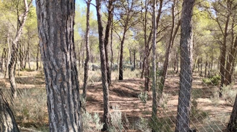 Múrcia - Totana - 5982m2