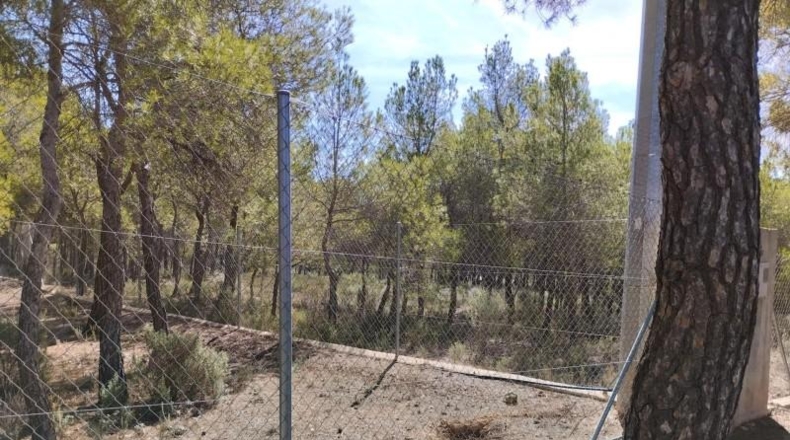 Múrcia - Totana - 5982m2