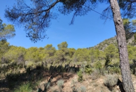 Foto 13