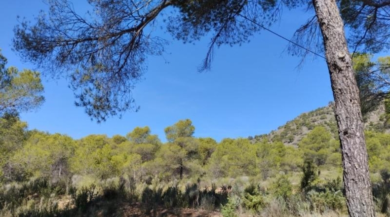 Múrcia - Totana - 5982m2
