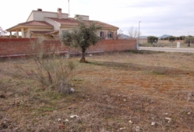 Foto 9