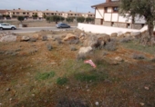 Sòl urbà en venda a la España, Nambroca, ref.: TR125348 foto