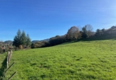 Non-developable land for sale on España, Cabezón de la Sal, ref: TR126230 photo
