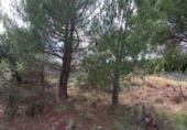 Sòl urbà en venda a la España, Miraflores de la Sierra, ref.: TR174405 foto