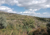 Sòl urbà en venda a la España, Miraflores de la Sierra, ref.: TR174405 foto