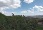 Sòl urbà en venda a la España, Miraflores de la Sierra, ref.: TR174405 foto