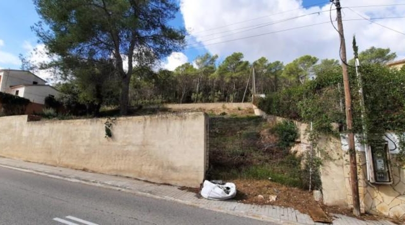 Barcelona - Olivella - 740m2