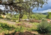 Parcel·la urbanitzable en venda a la España, Olivella, ref.: TR174832 foto