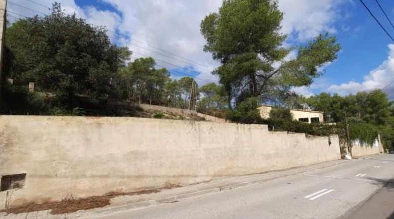 Barcelona - Olivella - 740m2