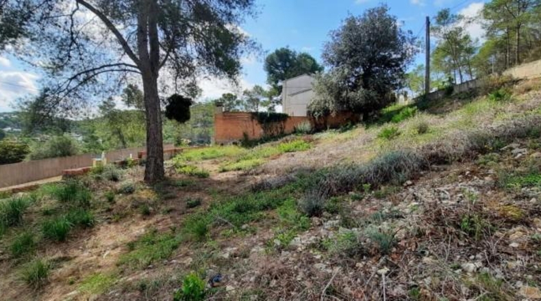 Barcelona - Olivella - 740m2