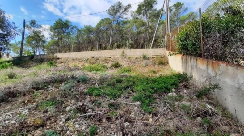 Barcelona - Olivella - 740m2