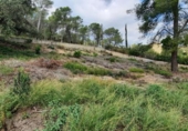 Parcel·la urbanitzable en venda a la España, Olivella, ref.: TR174832 foto