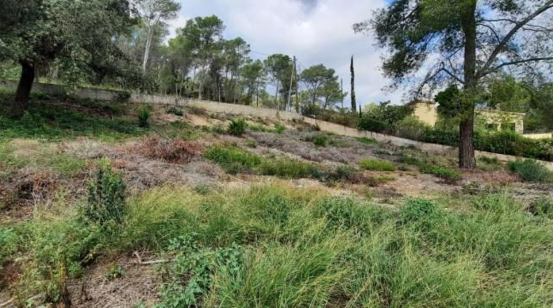 Barcelona - Olivella - 740m2