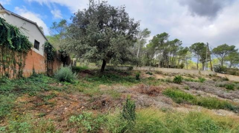Barcelona - Olivella - 740m2