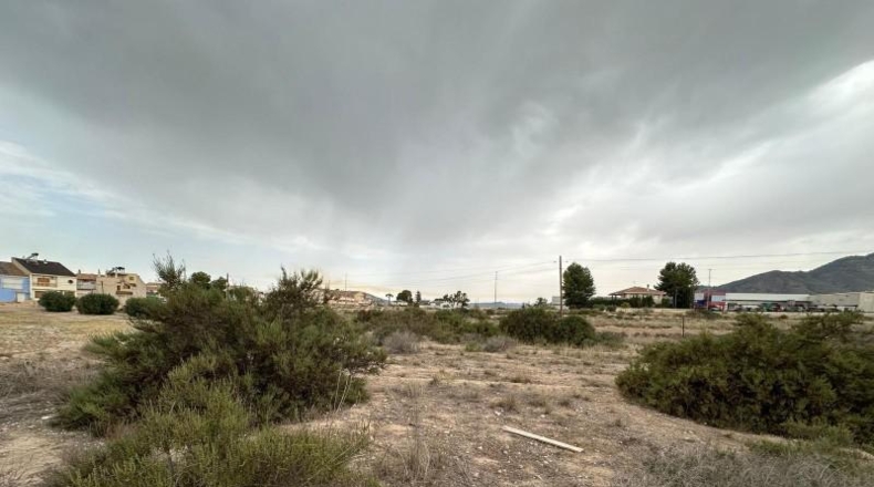 Murcia - Blanca - 8090m2