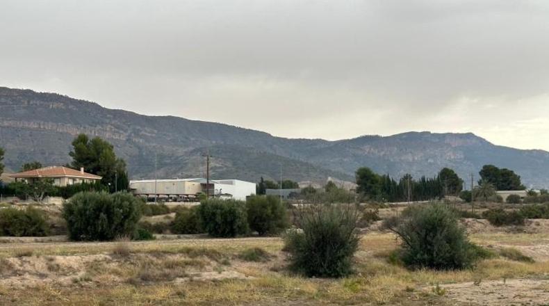Murcia - Blanca - 8090m2