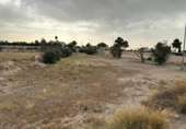 Suelo urbano en venta en la España, Blanca, ref: TR175250 foto