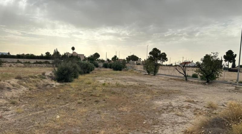 Murcia - Blanca - 8090m2