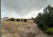 Suelo urbano en venta en la España, Blanca, ref: TR175250 foto