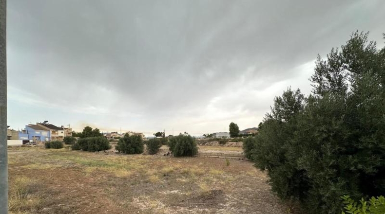Murcia - Blanca - 8090m2