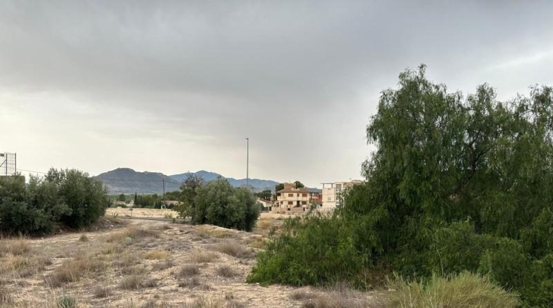Murcia - Blanca - 8090m2