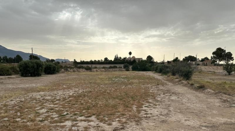 Murcia - Blanca - 8090m2