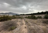 Suelo urbano en venta en la España, Blanca, ref: TR175250 foto