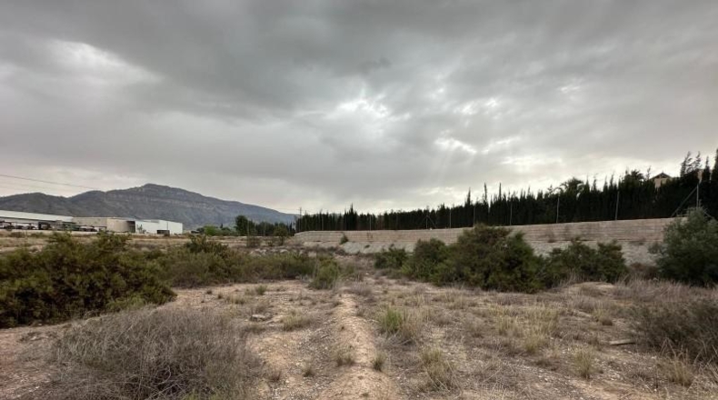 Murcia - Blanca - 8090m2