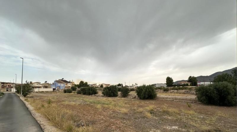 Murcia - Blanca - 8090m2