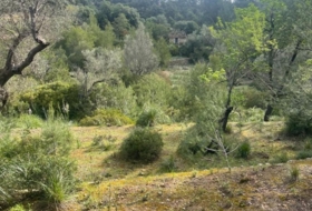 Puigpunyent 8964&nbsp;м²