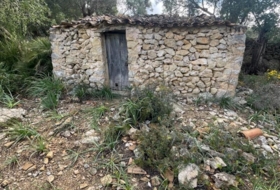 Puigpunyent 8964&nbsp;м²